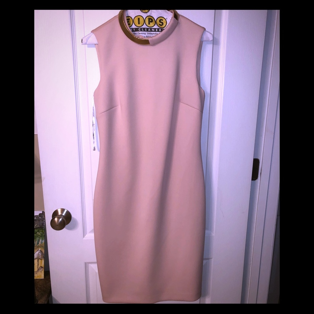 Calvin Klein blush dress